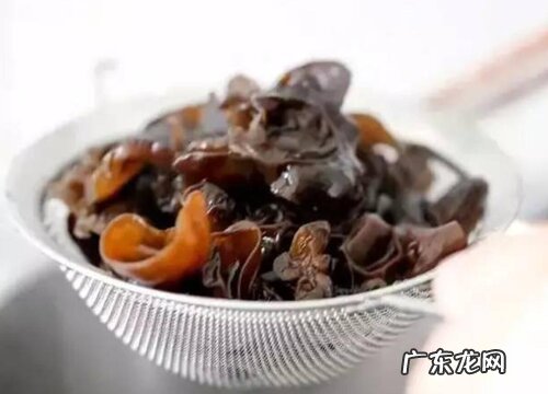 木耳生长在什么地方