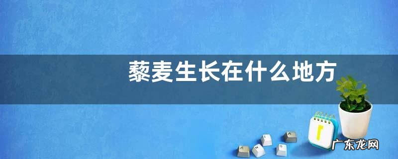 藜麦生长在什么地方