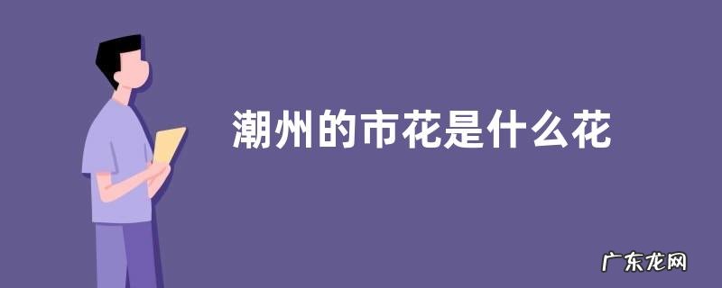 潮州的市花是什么花