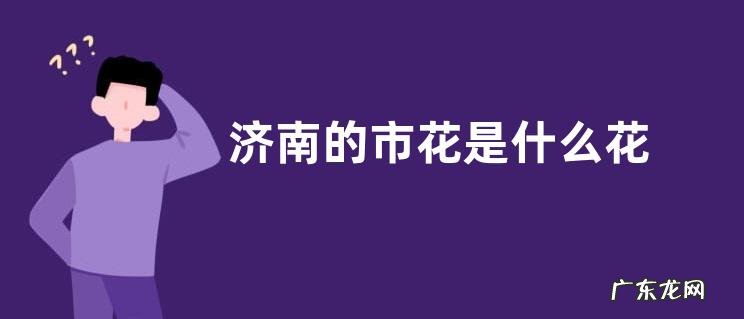 济南的市花是什么花