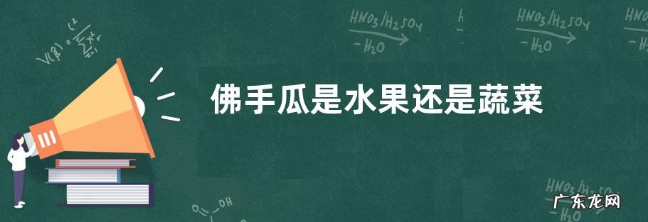 佛手瓜是水果还是蔬菜