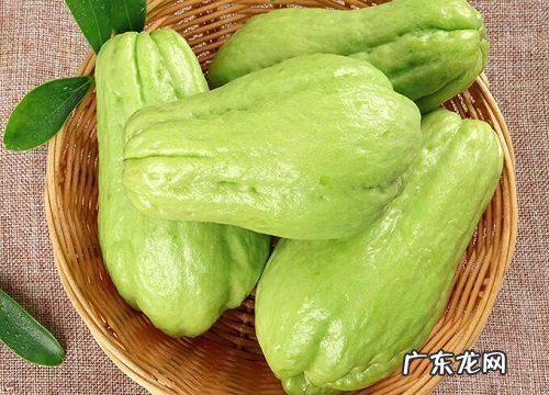 佛手瓜是水果还是蔬菜