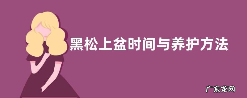 黑松上盆时间与养护方法