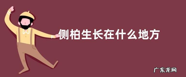 侧柏生长在什么地方