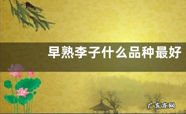 早熟李子什么品种最好