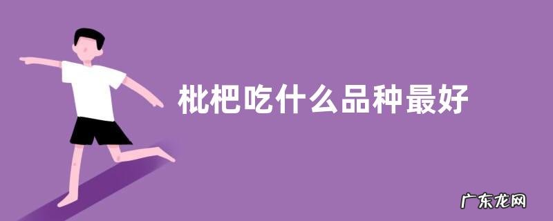 枇杷吃什么品种最好
