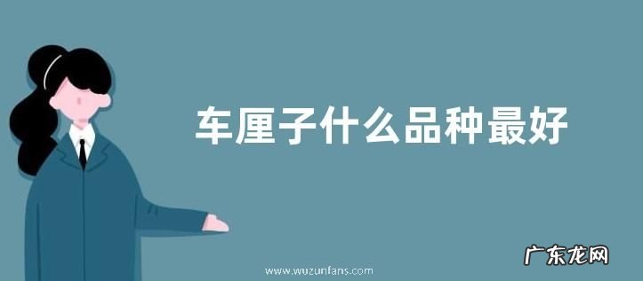 车厘子什么品种最好