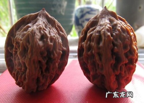 文玩核桃什么品种最好