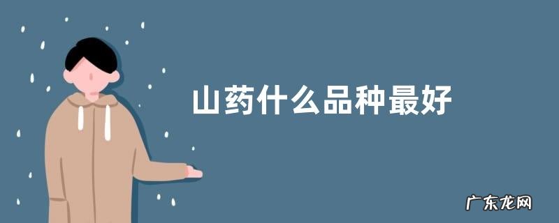 山药什么品种最好