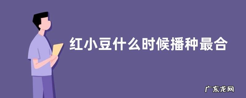 红小豆什么时候播种最合适