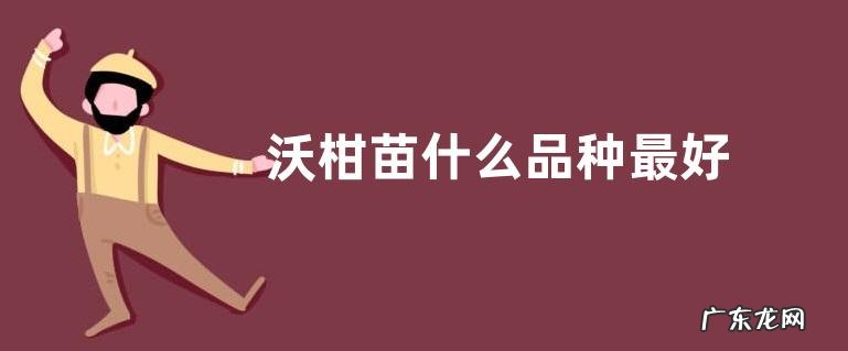 沃柑苗什么品种最好