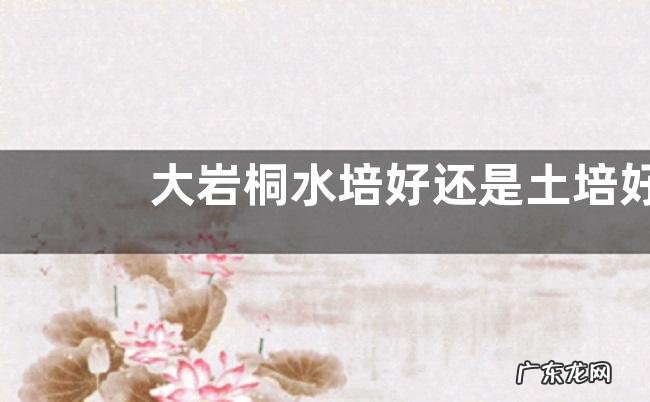 大岩桐水培好还是土培好