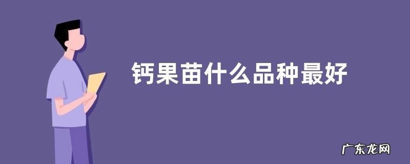 钙果苗什么品种最好