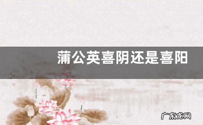 蒲公英喜阴还是喜阳