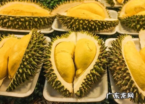 榴莲苗什么品种最好