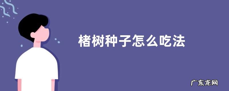 楮树种子怎么吃法