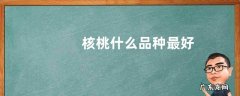 核桃什么品种最好