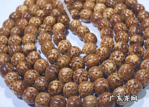 星月菩提什么品种最好