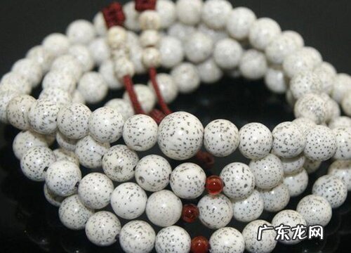 星月菩提什么品种最好