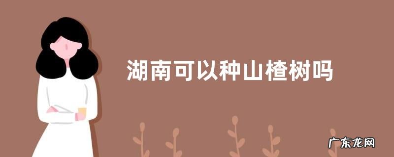 湖南可以种山楂树吗