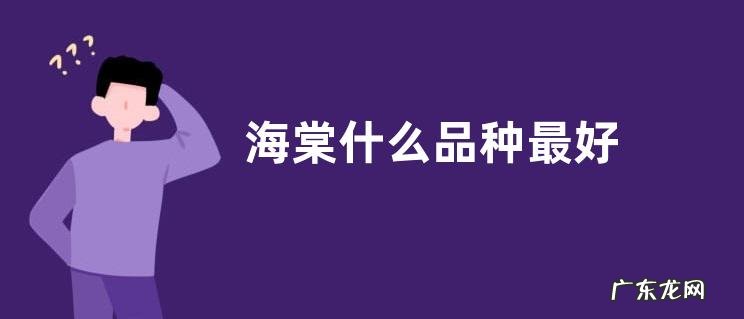 海棠什么品种最好