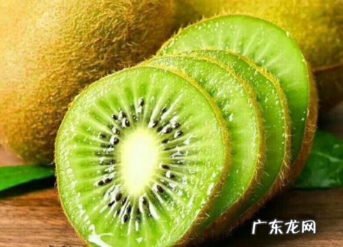 猕猴桃苗什么品种最好