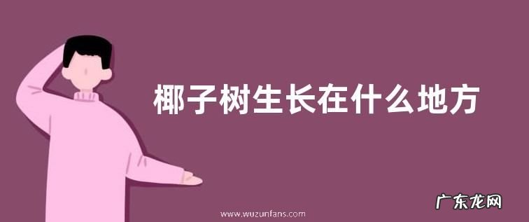 椰子树生长在什么地方