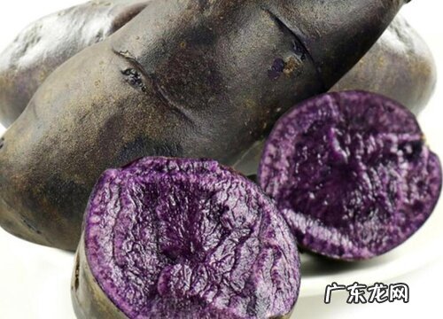 土豆什么品种最好