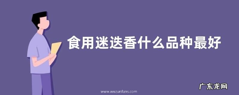 食用迷迭香什么品种最好