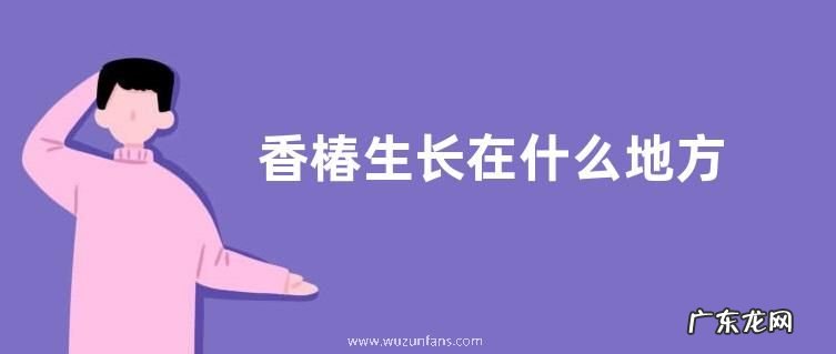 香椿生长在什么地方