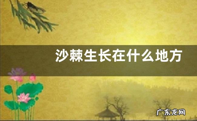 沙棘生长在什么地方