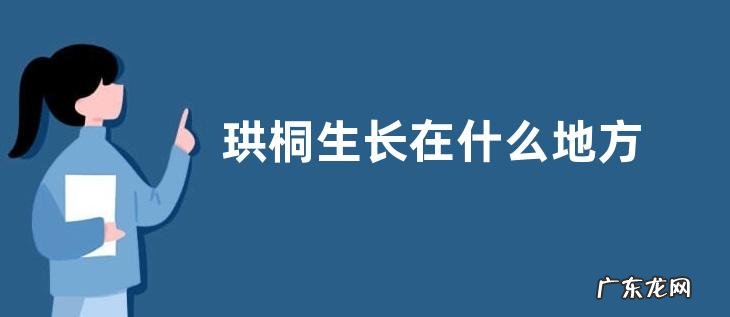 珙桐生长在什么地方