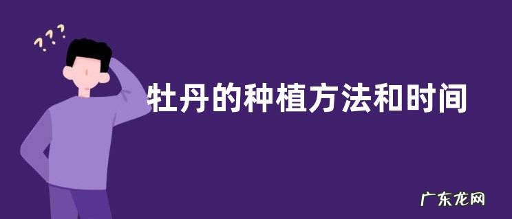 牡丹的种植方法和时间