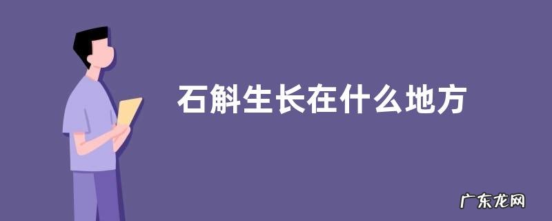 石斛生长在什么地方
