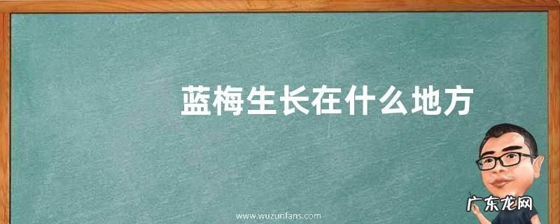 蓝梅生长在什么地方
