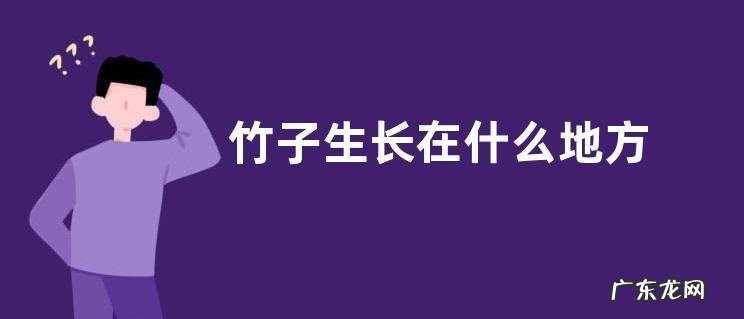 竹子生长在什么地方
