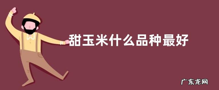 甜玉米什么品种最好