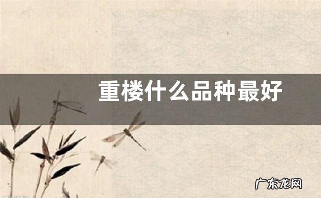 重楼什么品种最好