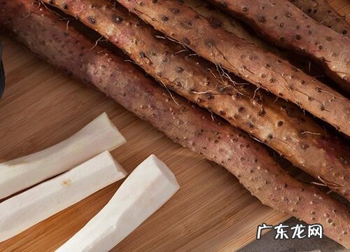 山药生长在什么地方