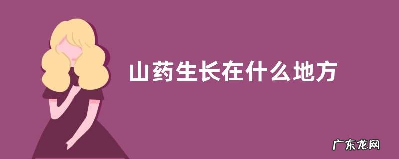 山药生长在什么地方