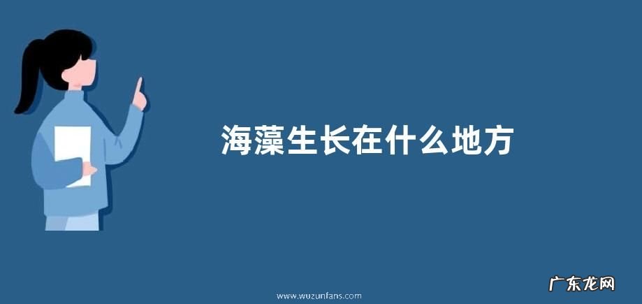 海藻生长在什么地方
