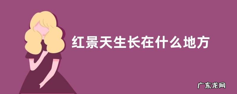 红景天生长在什么地方