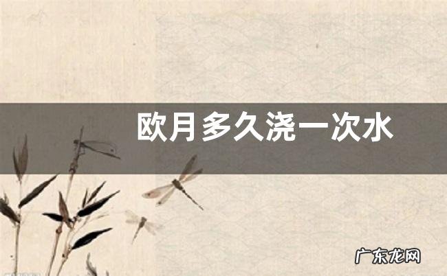 欧月多久浇一次水