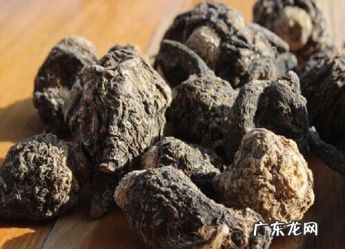 玛咖生长在什么地方