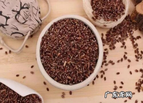小麦是果实吗