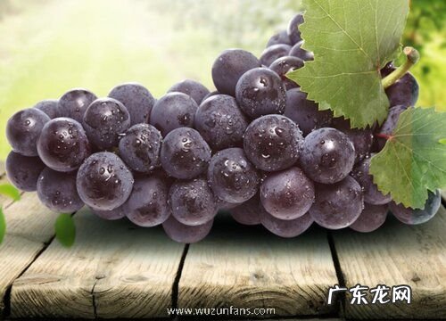 巨峰葡萄几月份开花结果