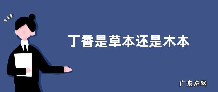 丁香是草本还是木本