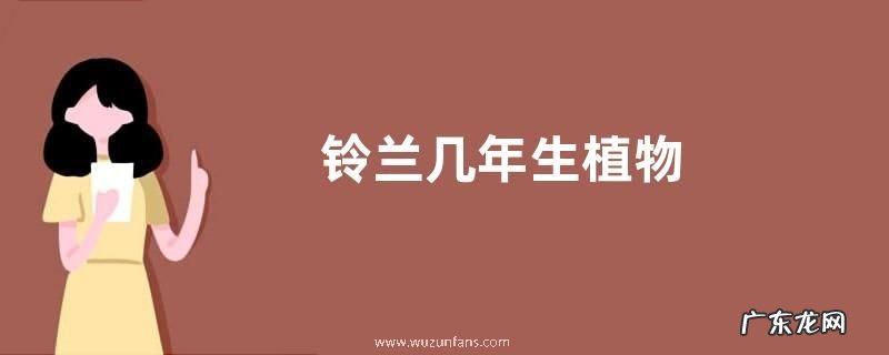 铃兰几年生植物