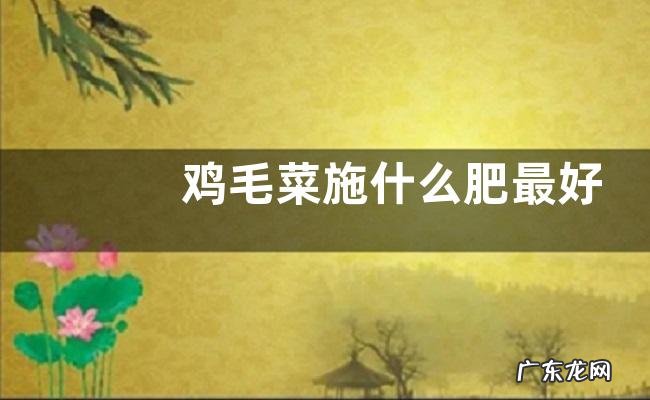 鸡毛菜施什么肥最好