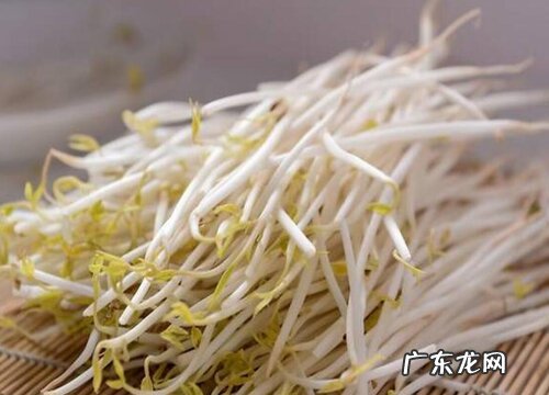绿豆芽怎么洗才干净 正确的清洗方法